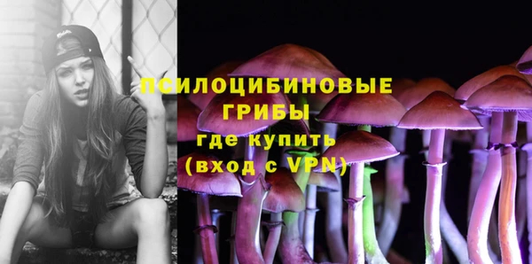 сатива Волоколамск