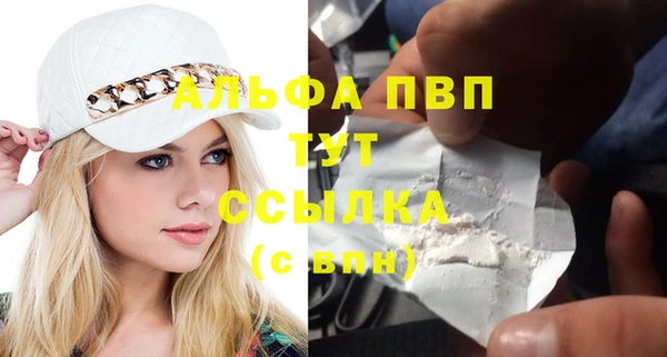 сатива Волоколамск