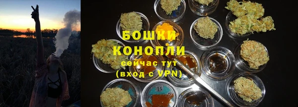 сатива Волоколамск