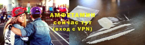 сатива Волоколамск