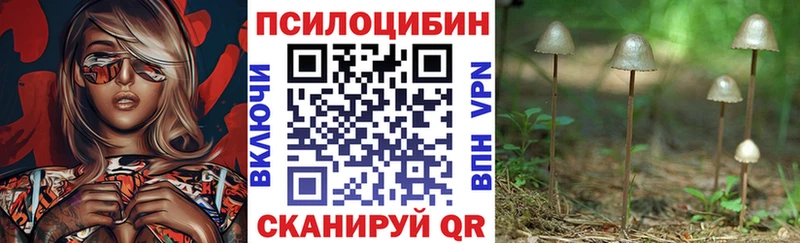 нарко площадка Telegram  MEGA как зайти  Гусь-Хрустальный  Псилоцибиновые грибы MAGIC MUSHROOMS 